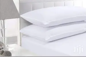 2pcs of Bedsize Pillows