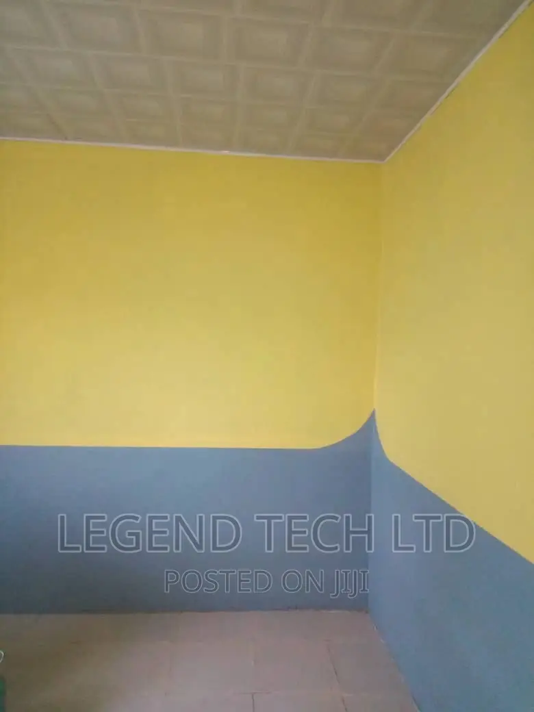Professional Painting of Buildings Designs