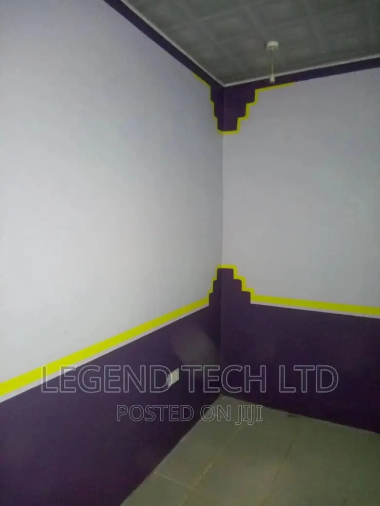 Professional Painting of Buildings Designs