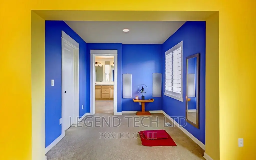 Professional Painting of Buildings Designs