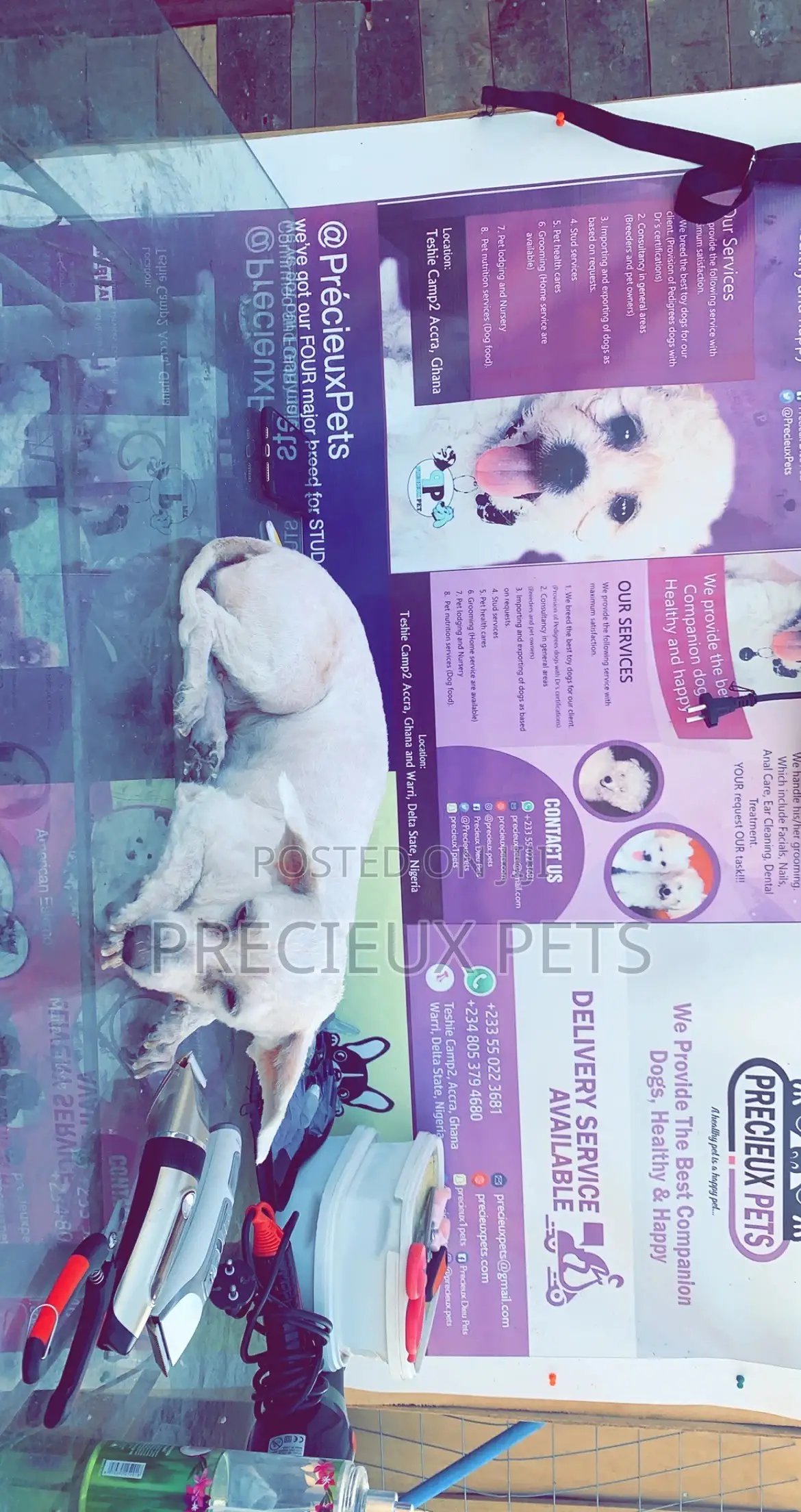 Pet Grooming (Kennel’S Cut)
