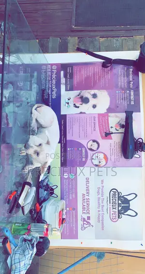 Pet Grooming (Kennel’S Cut)