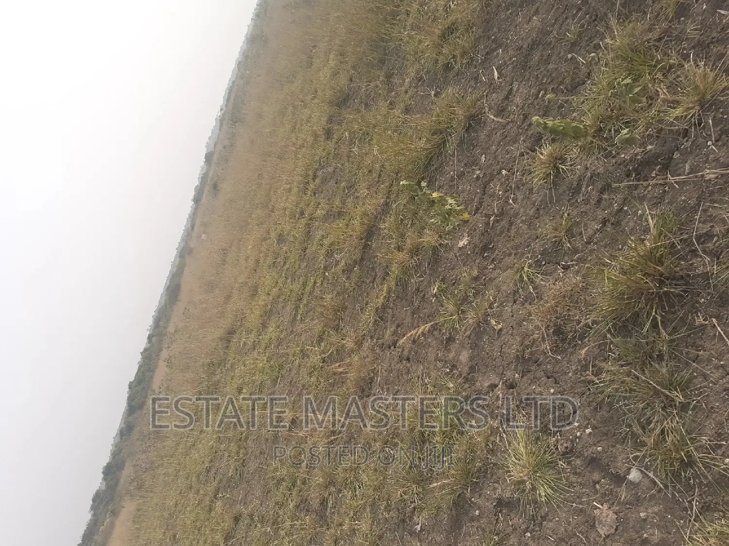 Best Promo on Luxurious Clean Serene Plot for Sale