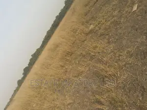 Best Promo on Luxurious Clean Serene Plot for Sale