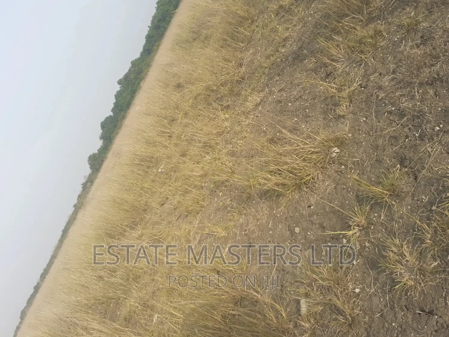 Best Promo on Luxurious Clean Serene Plot for Sale