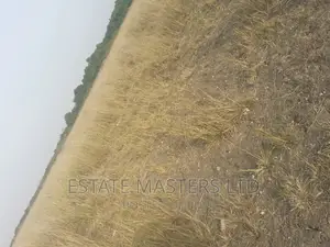 Best Promo on Luxurious Clean Serene Plot for Sale