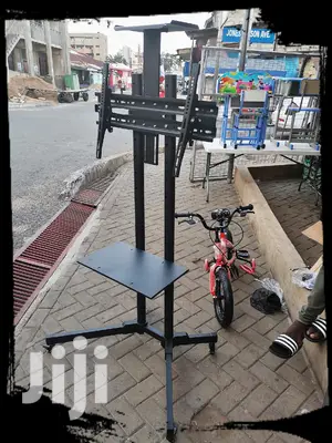 Standing LED TV Mount