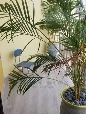 2bdrm Block of Flats in Fh, La Wireless for rent