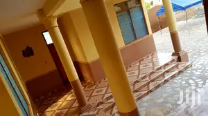 A Professional Painter
