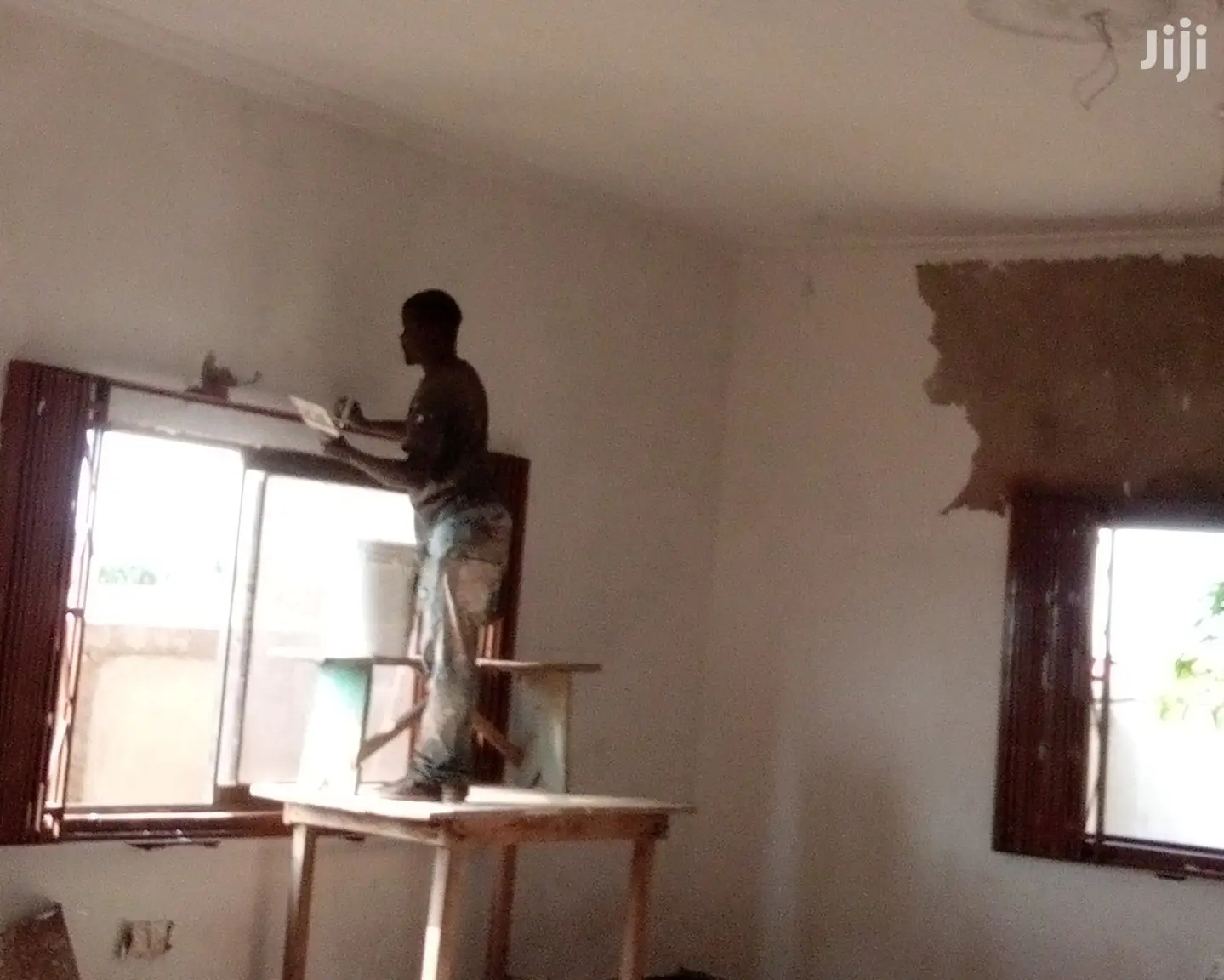 Professional Wall Skimmer (Andree)