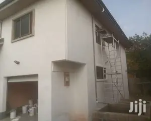 Professional Wall Skimmer (Andree)