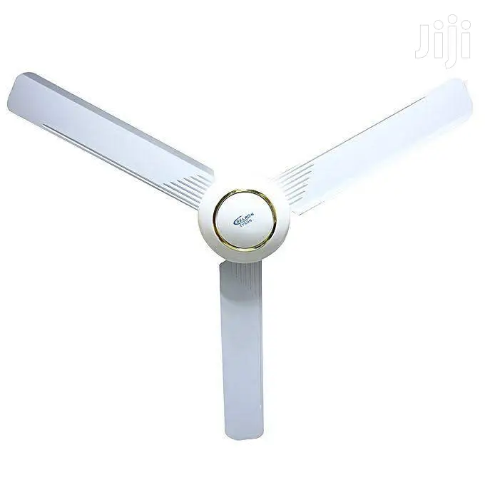 Delron Ceiling Fan