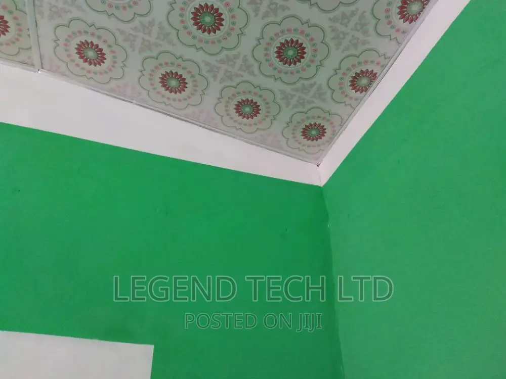 Professional Painting of Buildings Designs