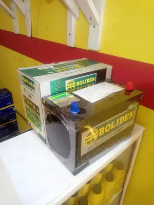 17 Plates Car Battery