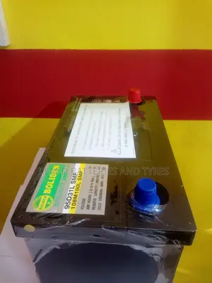17 Plates Car Battery