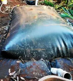 Biogas Experts, Convert Waste To Cooking Gas.
