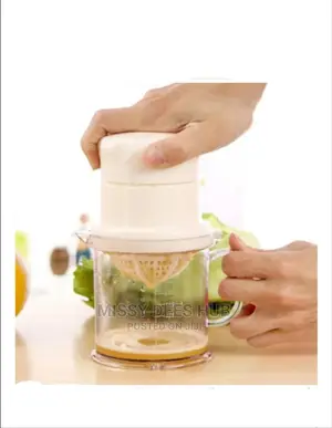 Mini Manual Juicer