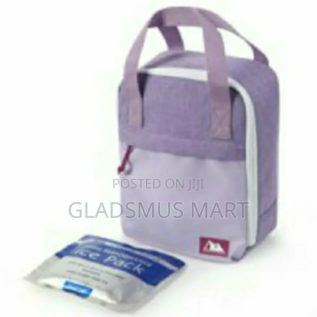 Arctic Zone Insulated Lunch Box