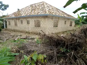 Professional Carpenter for Roofing and Trusses Works.