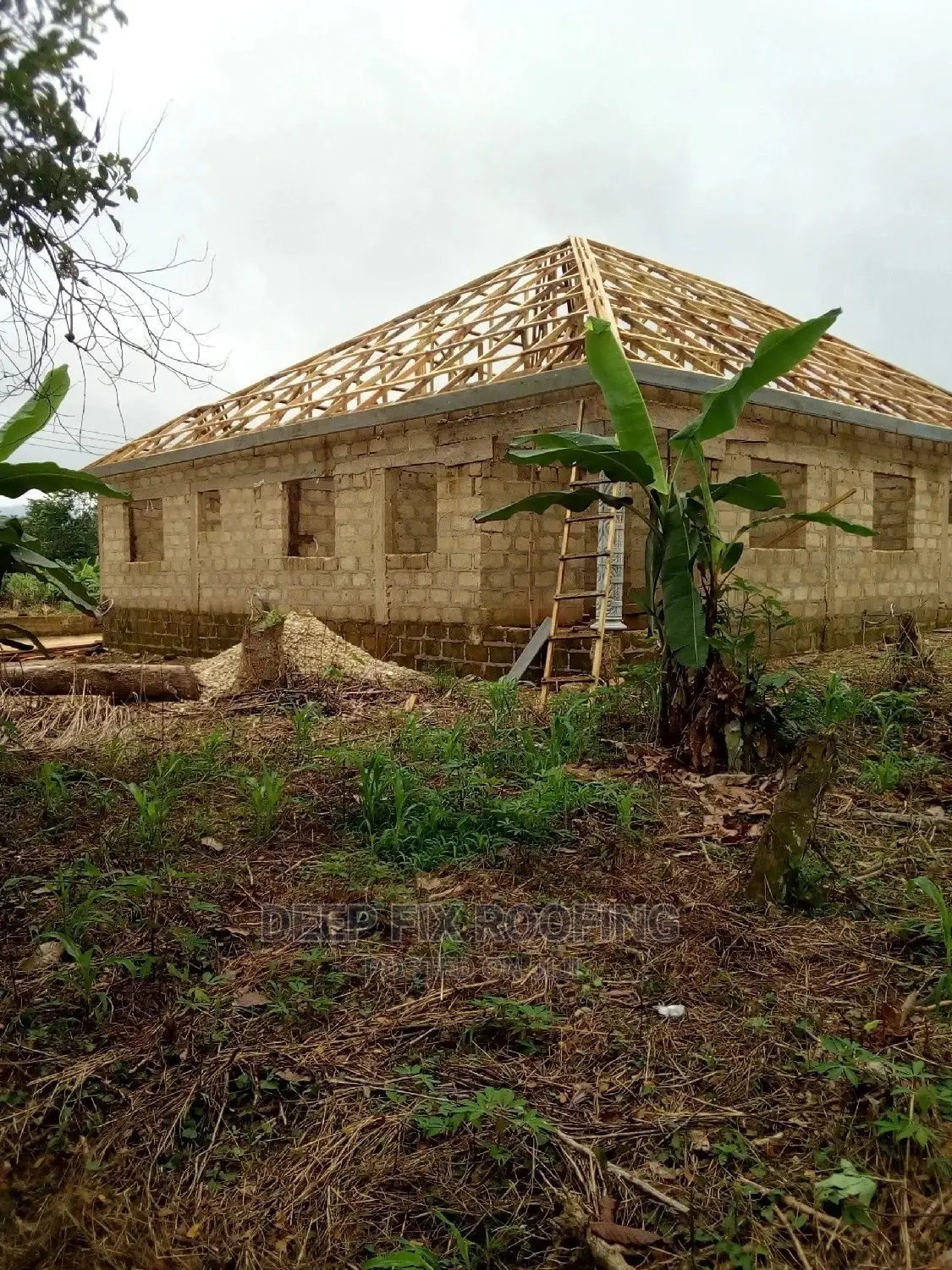 Professional Carpenter for Roofing and Trusses Works.