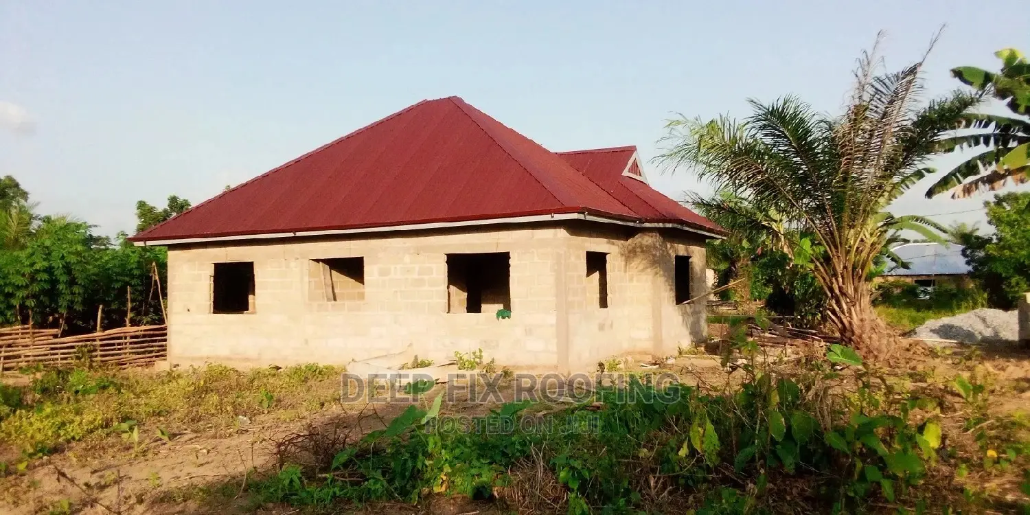 Professional Carpenter for Roofing and Trusses Works.