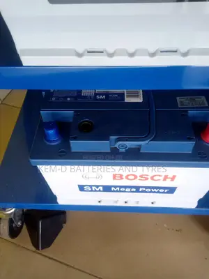 Bosch Car Battery