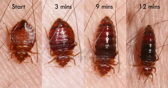 J.I.L Fumigation Services
