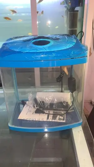 Imported Aquarium