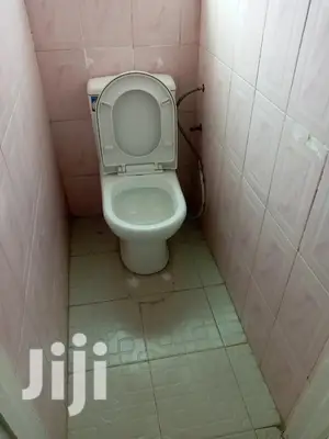 Fantastic 2-Bedroom S/C Apartment Dansoman