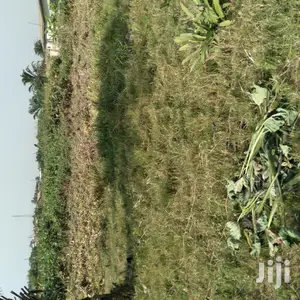 Plot of Land at Ahinsan Estate Is on Sales