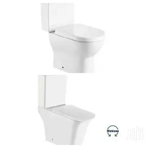 Modern Wc for Classic Home
