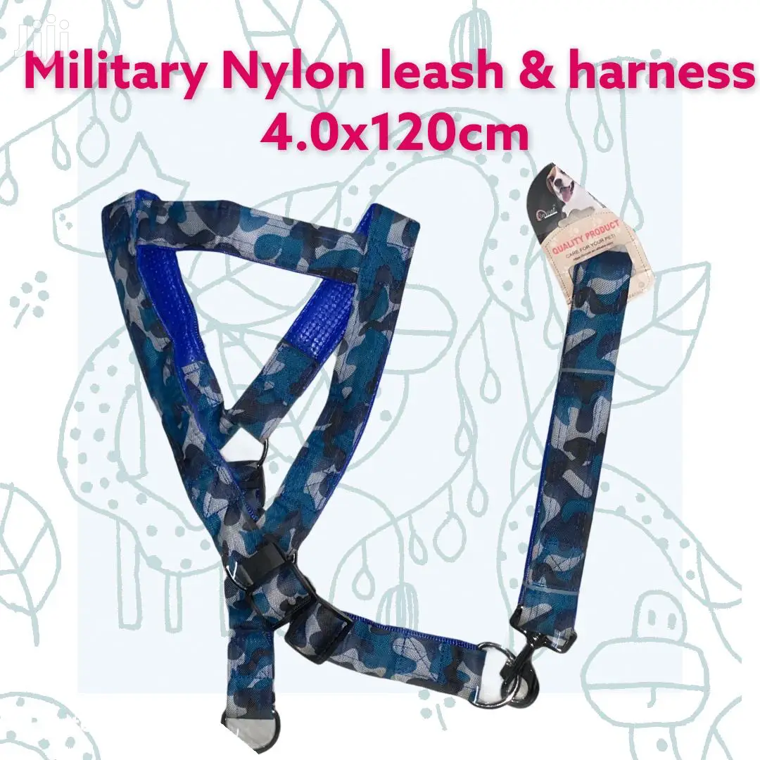 Reflective Nylon Leash and Harness