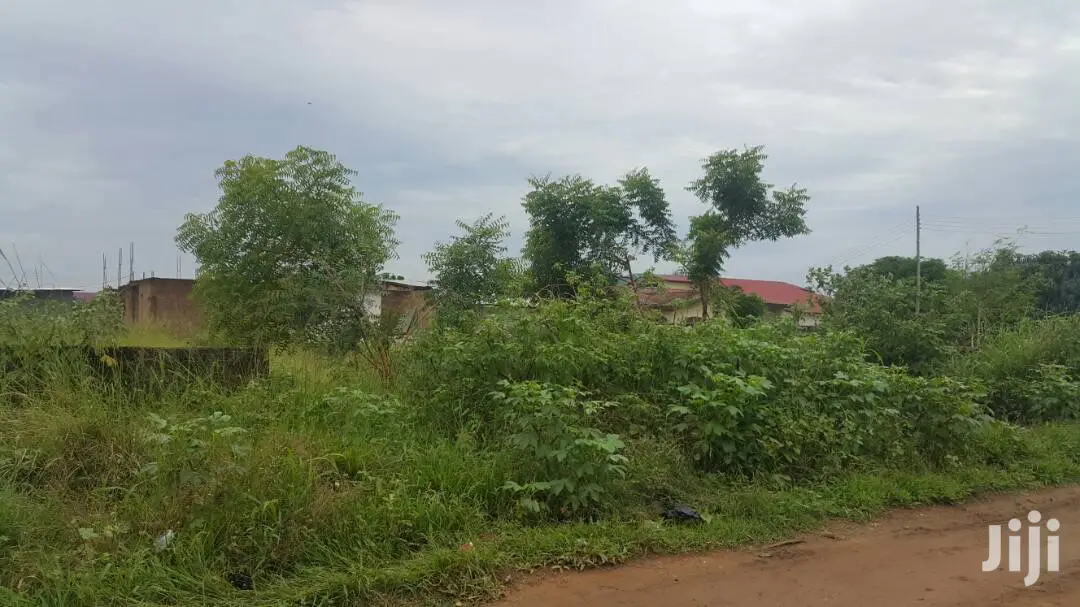 Genuine Land in Dawenya