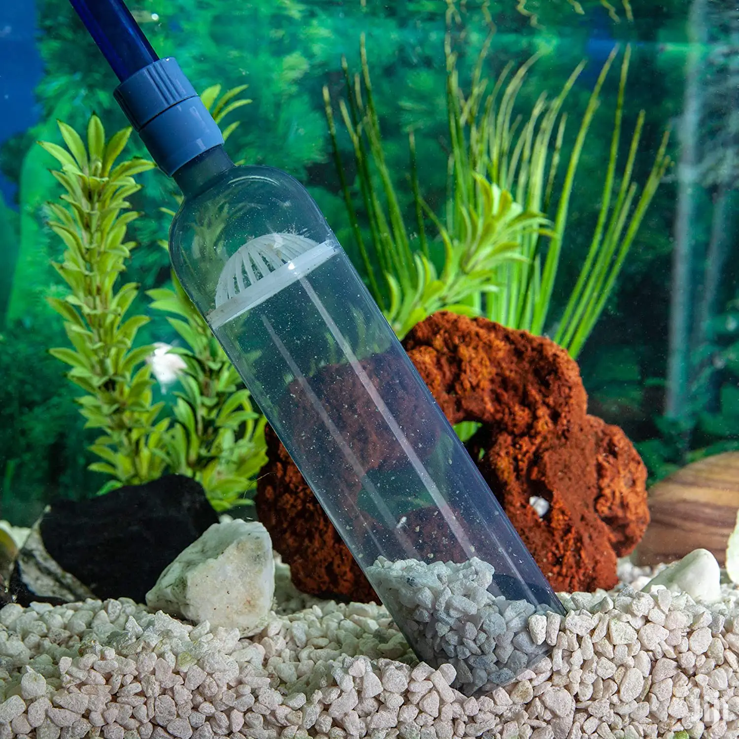 Aquarium Siphon