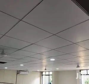Acoustic Ceiling