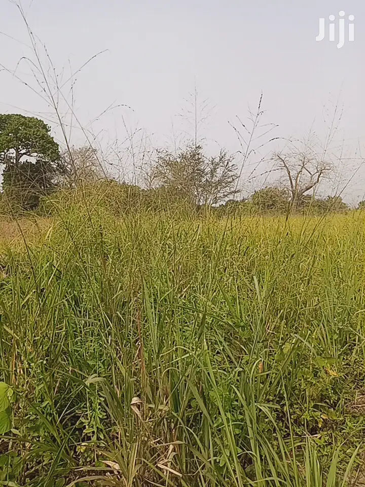 A Land for Sale at Akuse( Eastern Region) in Asuogyaman Land & Plots