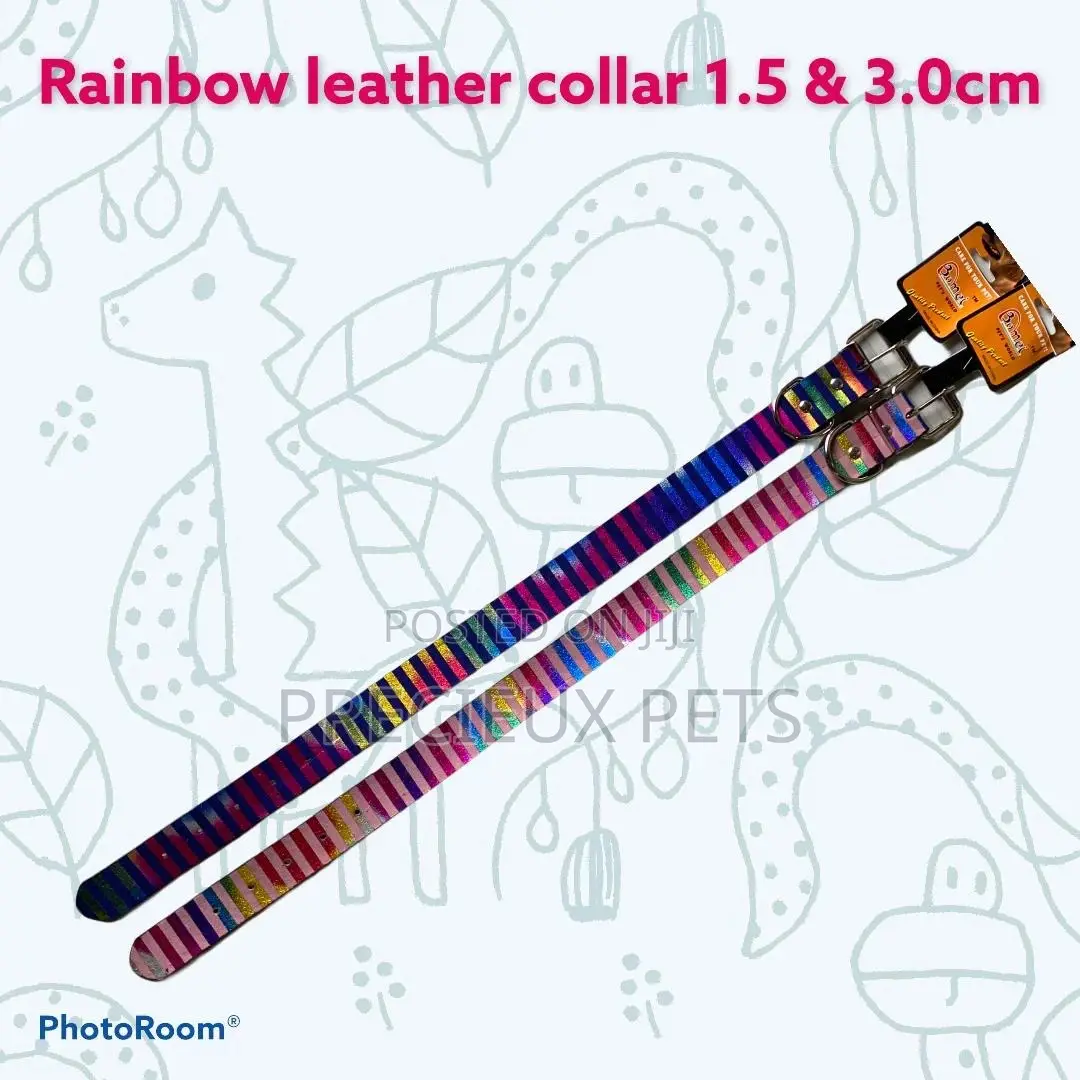Rainbow Leather Collar for Puppies and Adults