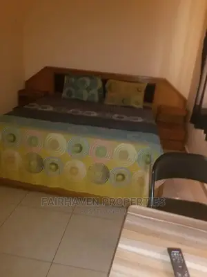 Furnished Single Room Self Contain for Rent at Osu
