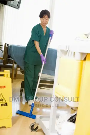 Professional Cleaners