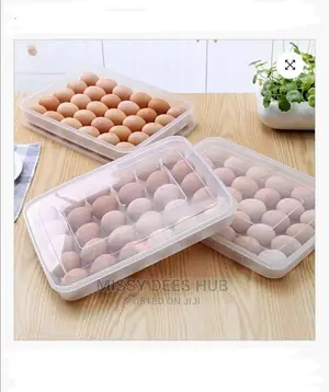 34 Grids Egg Storage Box...