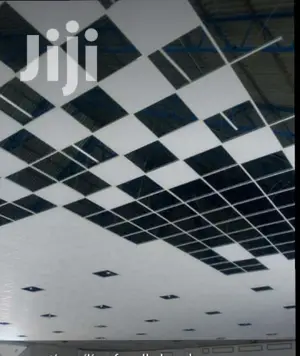 Acoustic Ceilings