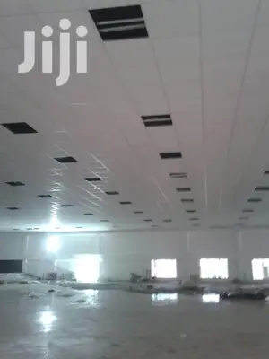 Acoustic Ceilings