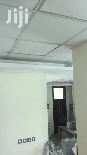 Acoustic Ceilings