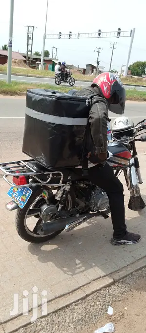 Portable Delivery Bags