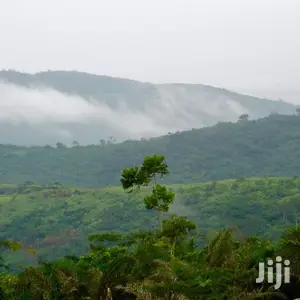 70/100 Serviced Plots for Sale at Pokrom After Aburi