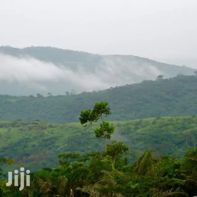 70/100 Serviced Plots for Sale at Pokrom After Aburi
