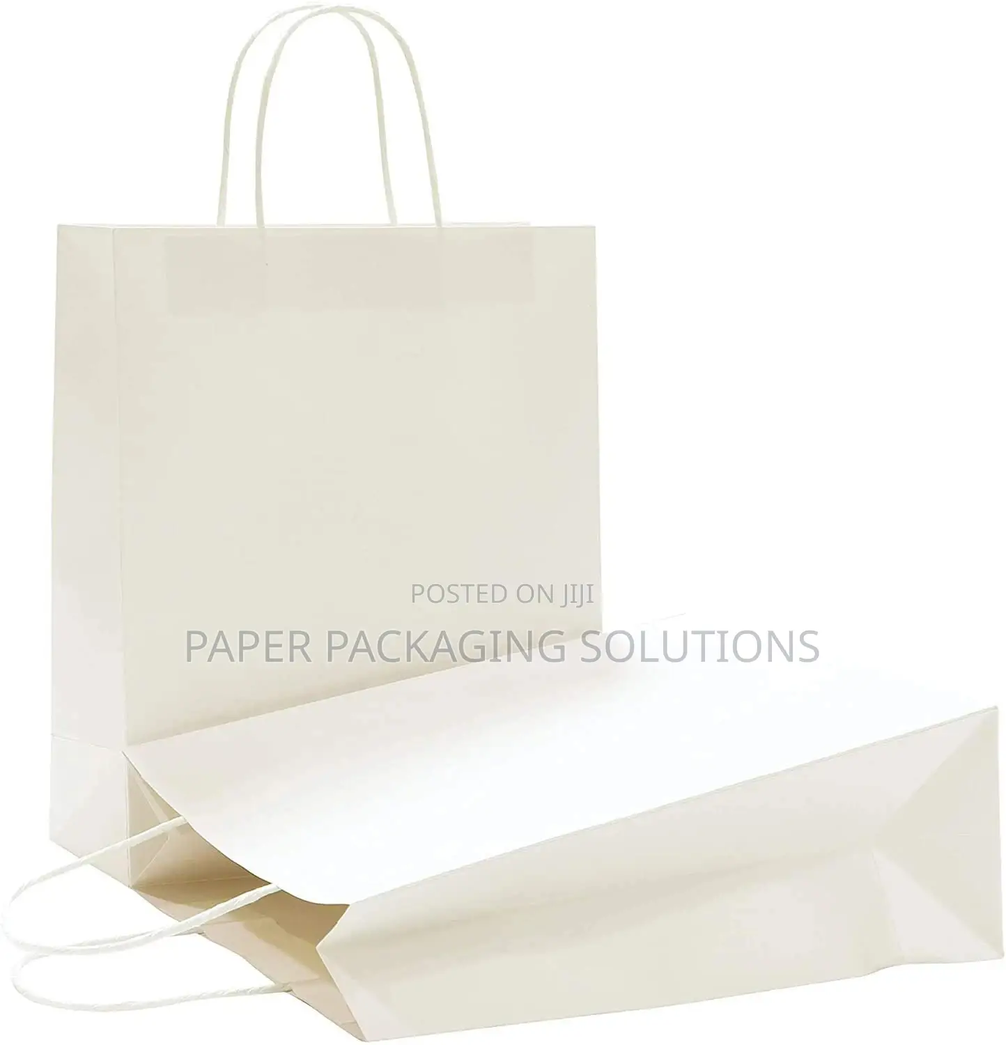 White Paper Bags