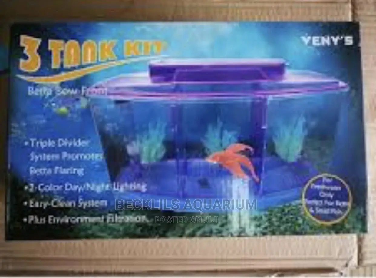 Mini 3 in 1 Aquarium Tank