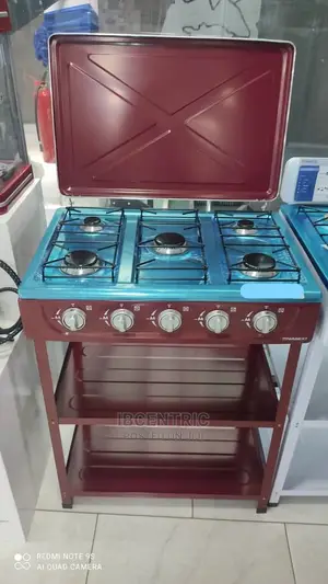 Nasco 5 Burner Gas Stove With Stand