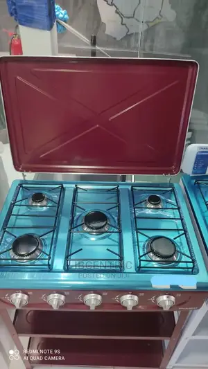 Nasco 5 Burner Gas Stove With Stand